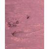 Гелевий олівець для губ ZOLA 104 Dusty Orchid Гелевий олівець для губ ZOLA 104 Dusty Orchid
