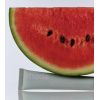 Блиск для губ з пептидами Rhode Watermelon Slice 10 мл
