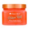 Скраб для тіла Tree Hut Bikini Reef Sugar Scrub 510 г