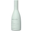 Шампунь зволожуючий Bjorn Axen Moisture Shampoo 250 мл
