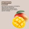 Шампунь для фарбованого волосся Sinergy ZEN 250 мл Шампунь для фарбованого волосся Sinergy ZEN 250 мл