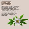 Шампунь для фарбованого волосся Sinergy ZEN 250 мл Шампунь для фарбованого волосся Sinergy ZEN 250 мл